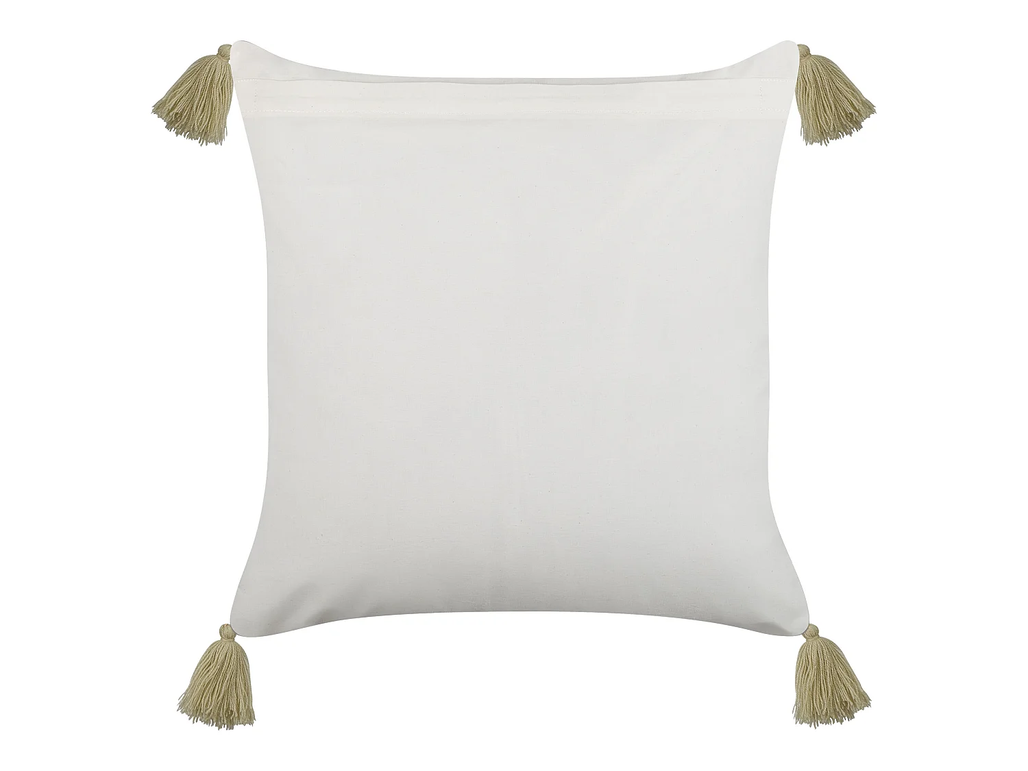 Lot de 2 coussins décoratifs SYRINGA Coton 45 x 45 cm Vert Motif géométrique