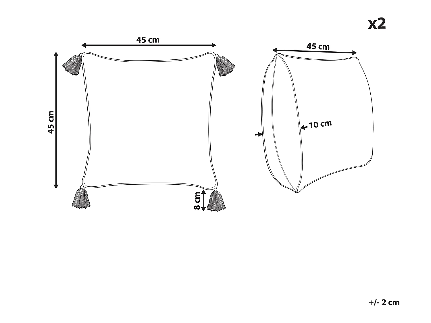 Lot de 2 coussins décoratifs SYRINGA Coton 45 x 45 cm Vert Motif géométrique