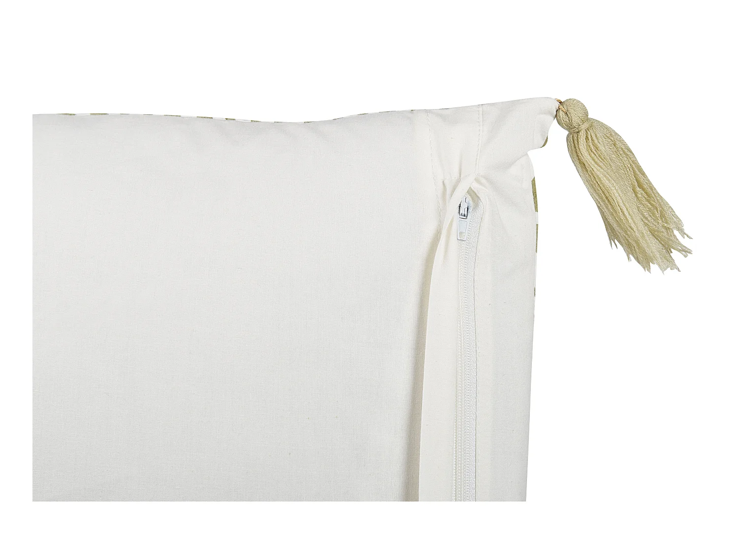 Lot de 2 coussins décoratifs SYRINGA Coton 45 x 45 cm Vert Motif géométrique