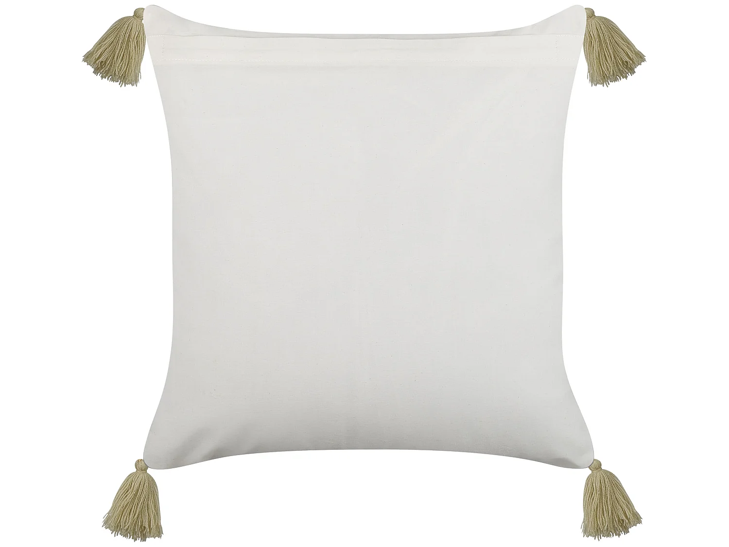 Lot de 2 coussins décoratifs SYRINGA Coton 45 x 45 cm Vert Motif géométrique