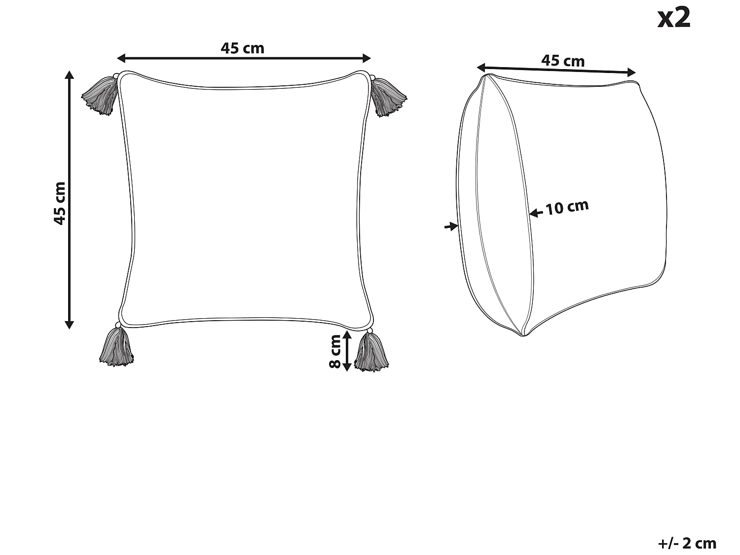 Lot de 2 coussins décoratifs SYRINGA Coton 45 x 45 cm Vert Motif géométrique