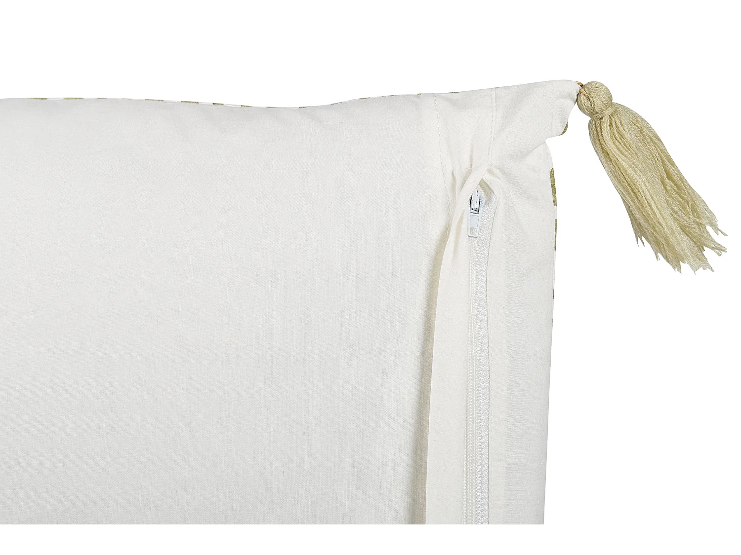 Lot de 2 coussins décoratifs SYRINGA Coton 45 x 45 cm Vert Motif géométrique