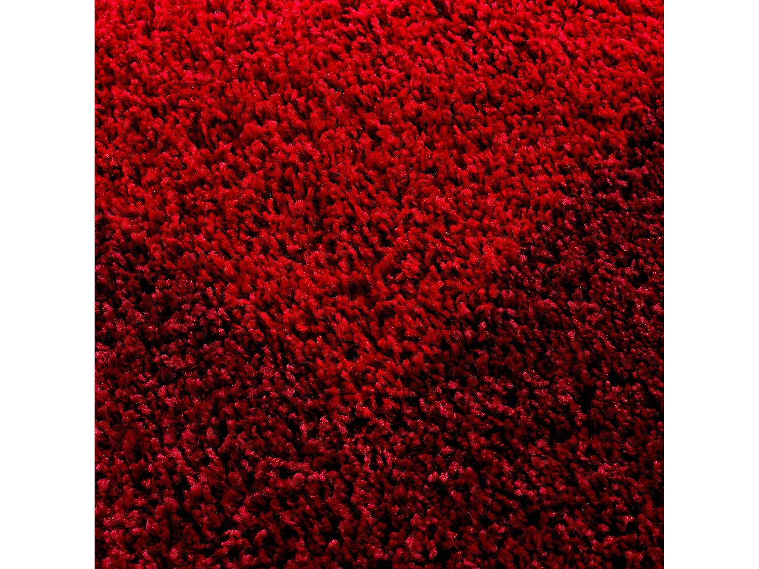 SHAGGY - Tapis à Bordures - Rouge 200 x 290 cm