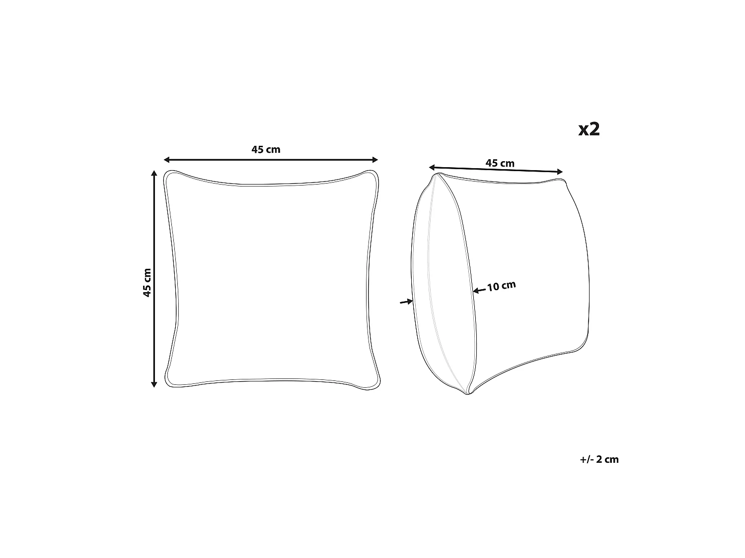 Lot de 2 coussins décoratifs MORUS Velours 45 x 45 cm Noir Motif floral