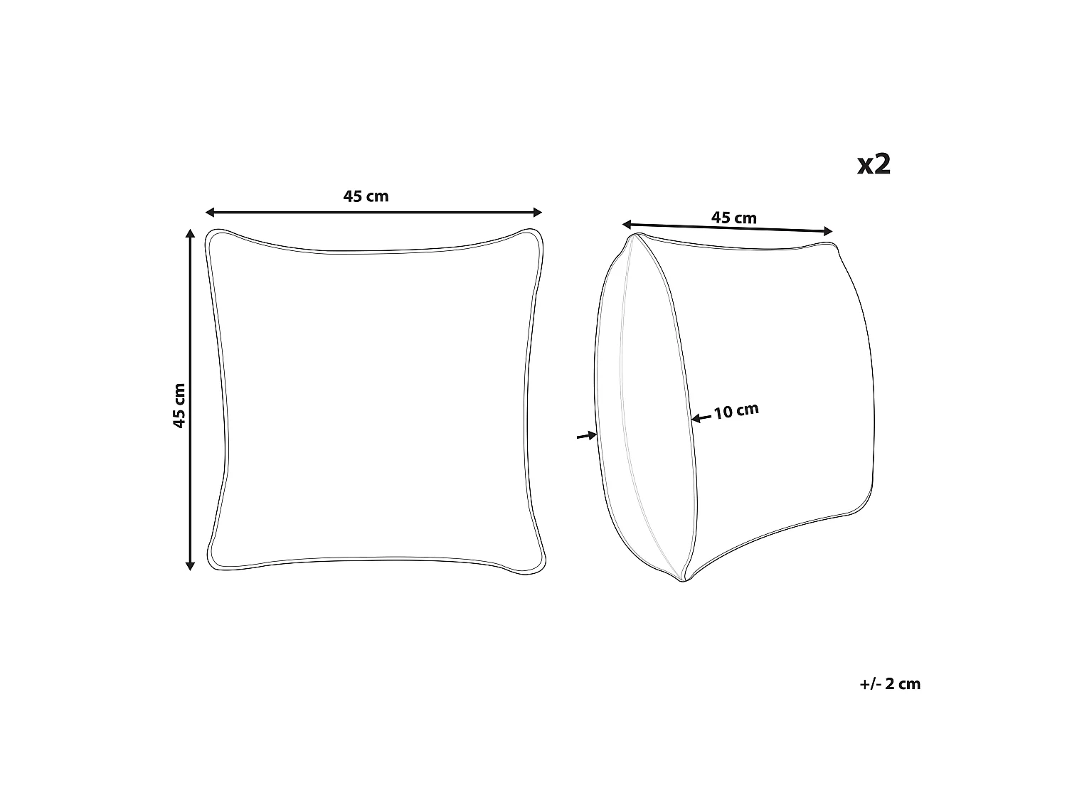 Set van 2 decoratieve kussens MORUS Fluweel 45 x 45 cm Zwart Bloempatroon
