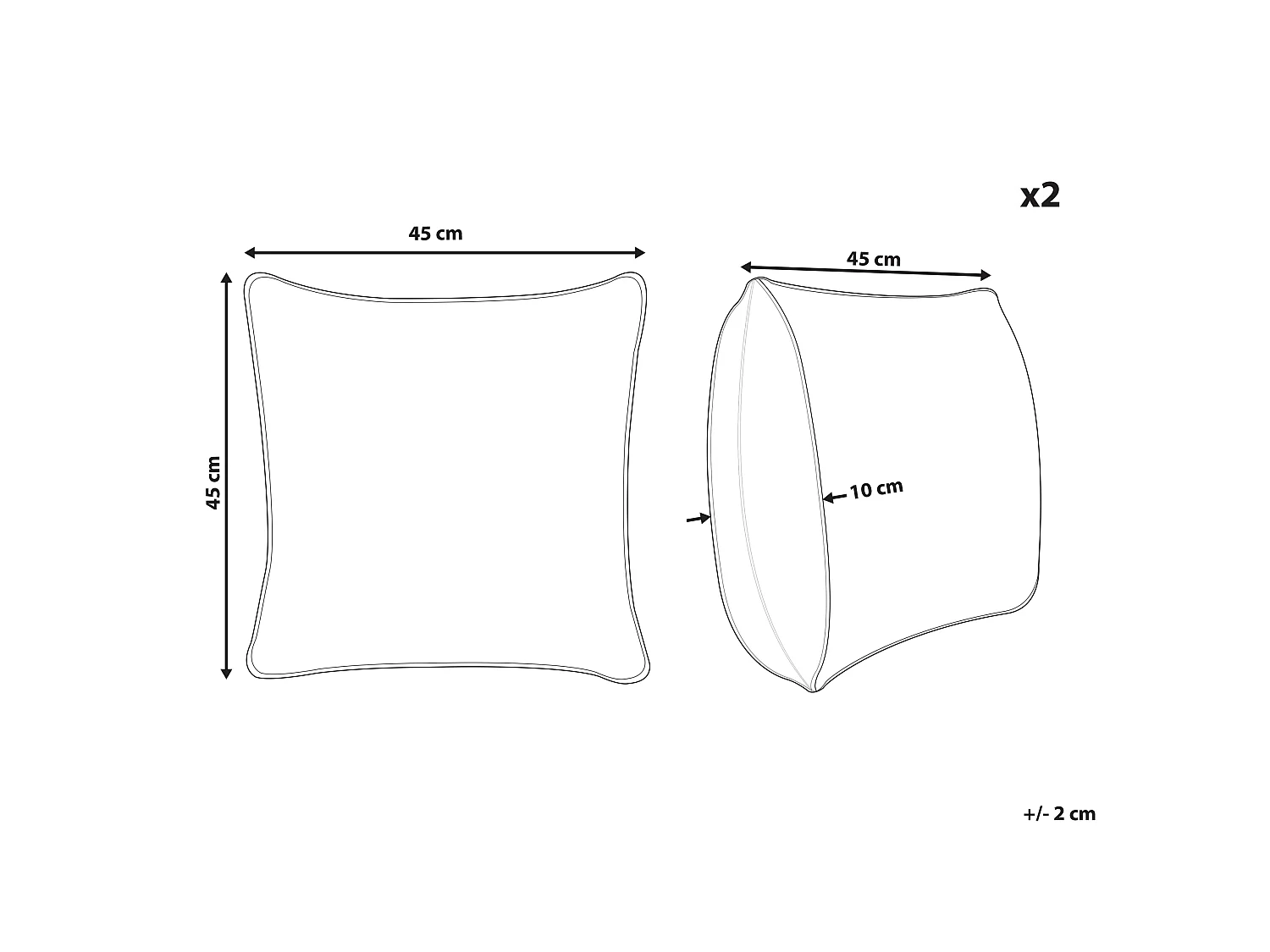 Set van 2 decoratieve kussens MORUS Fluweel 45 x 45 cm Zwart Bloempatroon