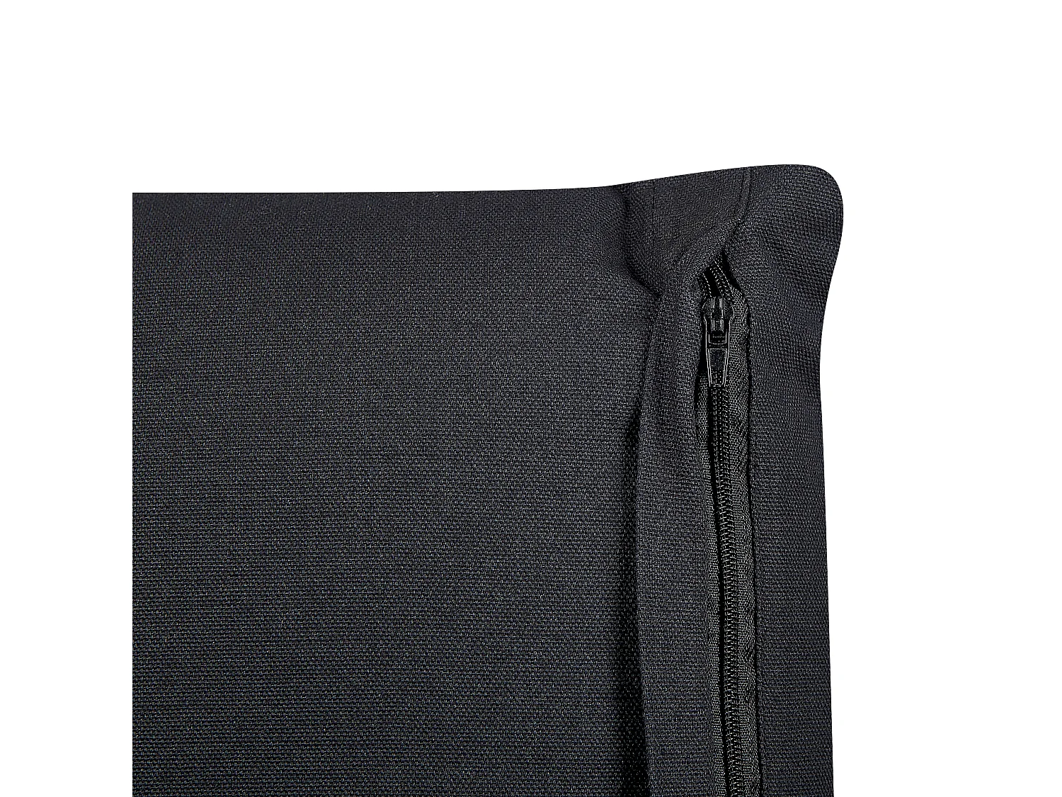 Coussin OSMUNDA Velours 45 x 45 cm Noir Motif floral
