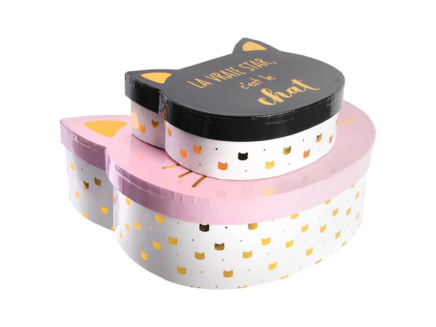 Lot de 2 boites de rangement 25x23x8 5 cm CAT