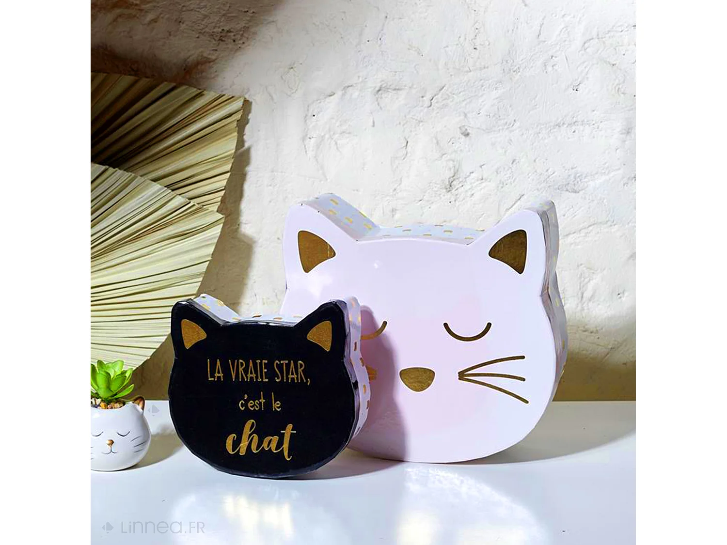 Lot de 2 boites de rangement 25x23x8 5 cm CAT