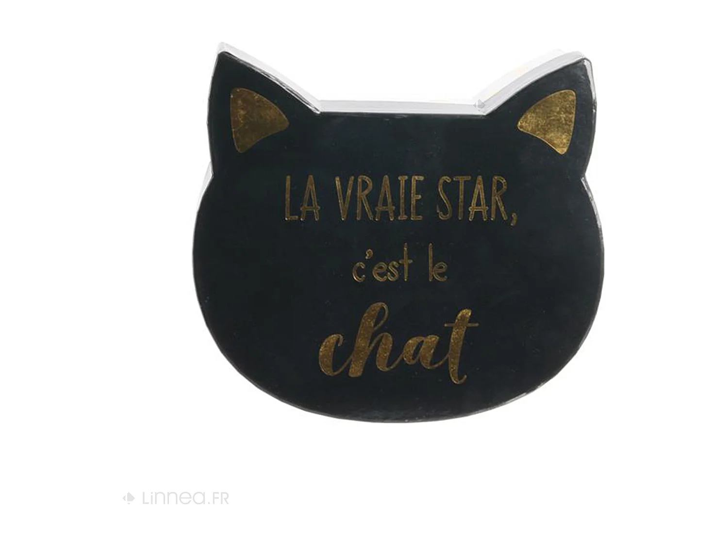 Lot de 2 boites de rangement 25x23x8 5 cm CAT