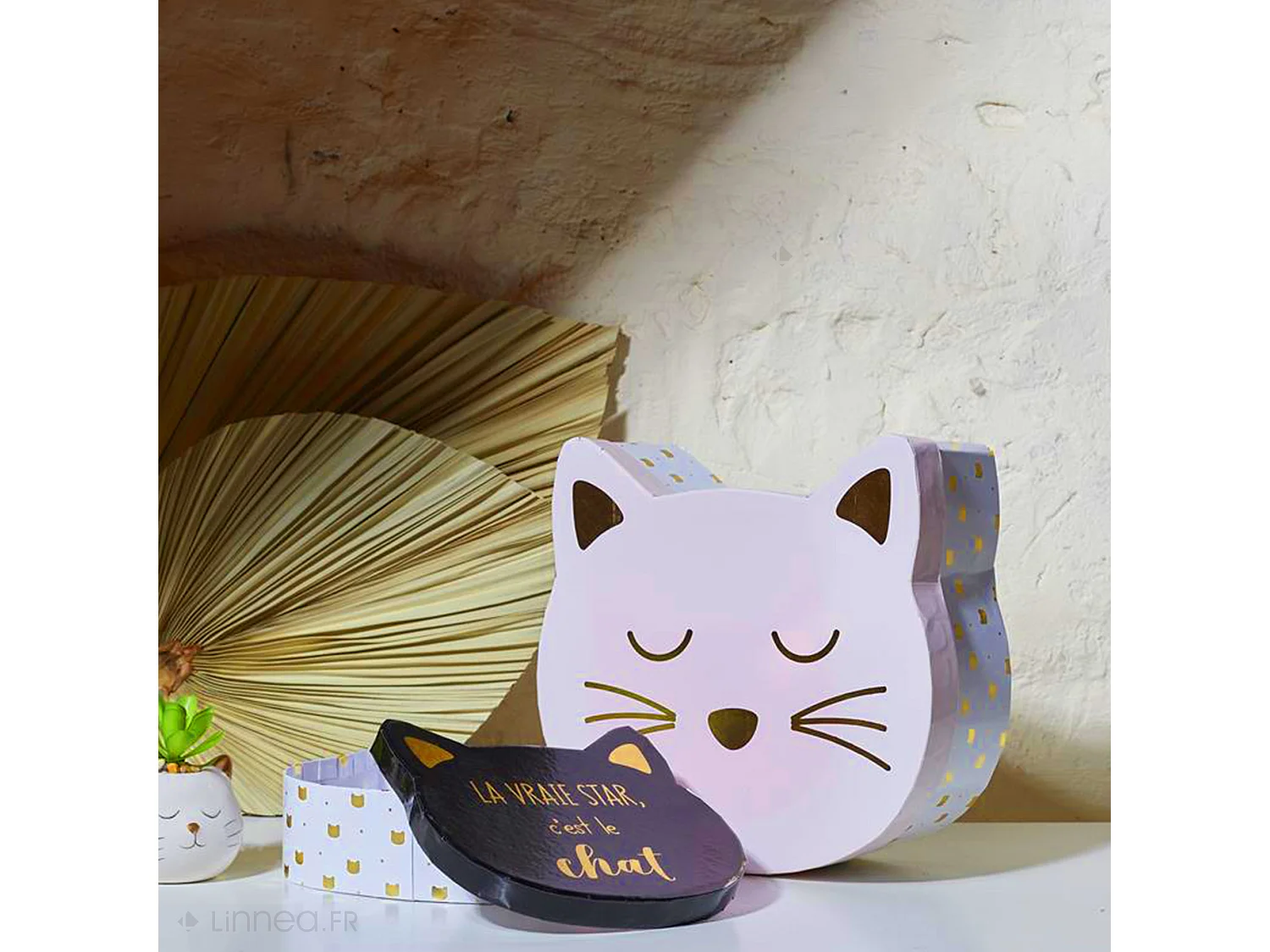 Lot de 2 boites de rangement 25x23x8 5 cm CAT