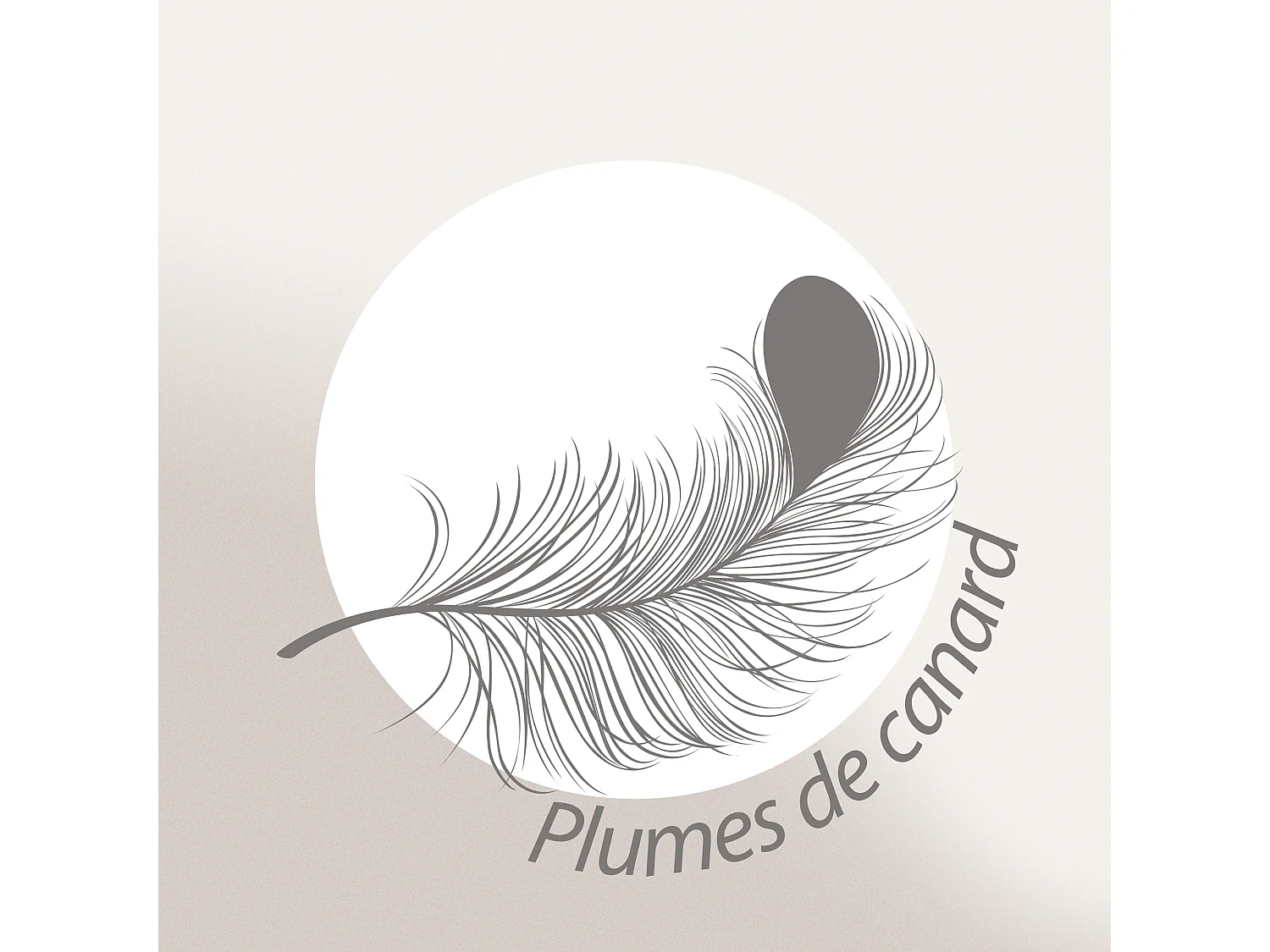 Traversin 160 cm GRIZZ'LIT PLUMES 100% Plumes de Canard