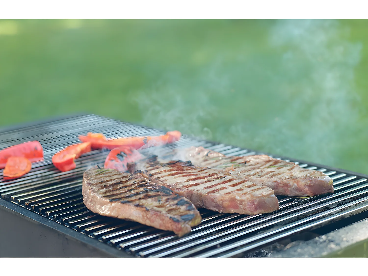 Grille de barbecue BBQ avec double manche dimension 60x40cm ECD Germany