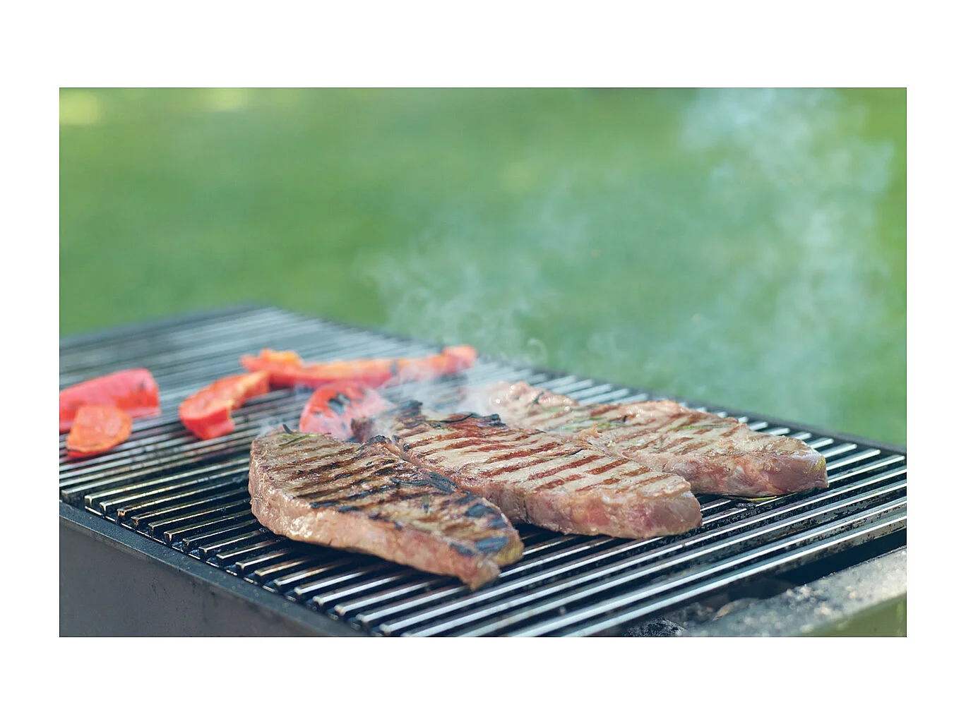 Griglia per barbecue con doppio manico dimensioni 60x40cm in acciaio inox ECD Germany