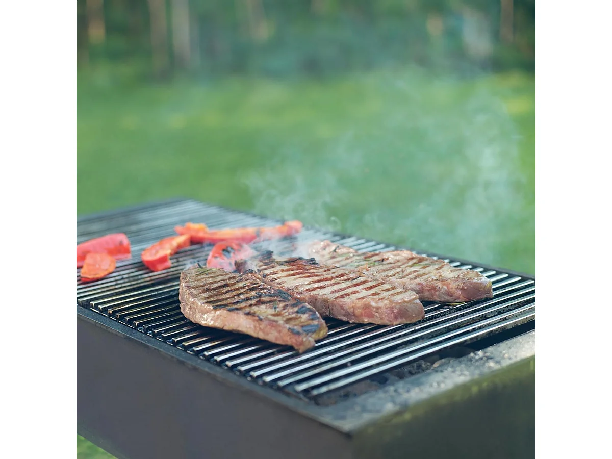 Griglia per barbecue con doppio manico dimensioni 60x40cm in acciaio inox ECD Germany