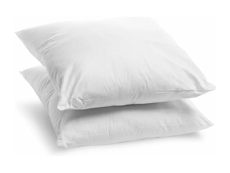 Lot de 2 Oreillers Ferme 60x60cm Anti-acariens