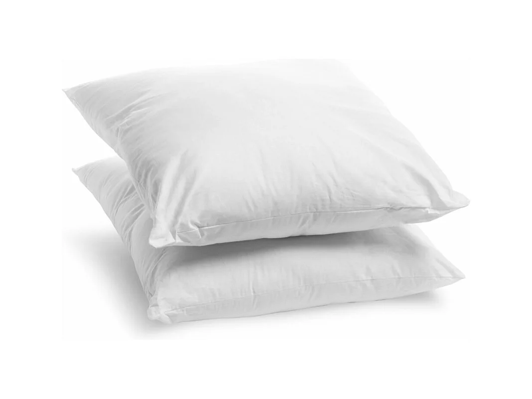 Lot de 2 Oreillers Ferme 60x60cm Anti-acariens