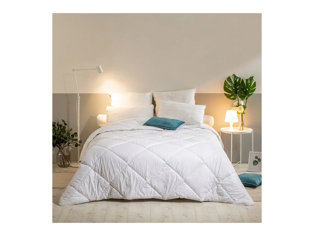 Lot de 2 Oreillers Mémoire de forme Mixte Anti-acariens - Confort réglable - 60x60cm