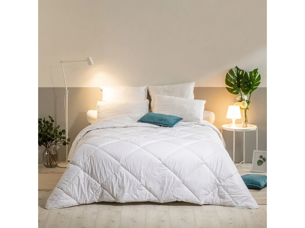 Oreiller Mémoire de forme Mixte Anti-acariens - Confort réglable - 50x70cm