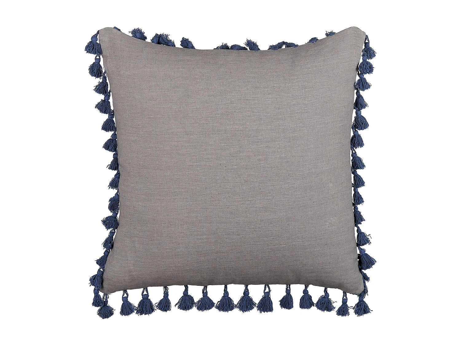 Lot de 2 coussins décoratifs CARPINUS Lin 45 x 45 cm Gris Unicolore