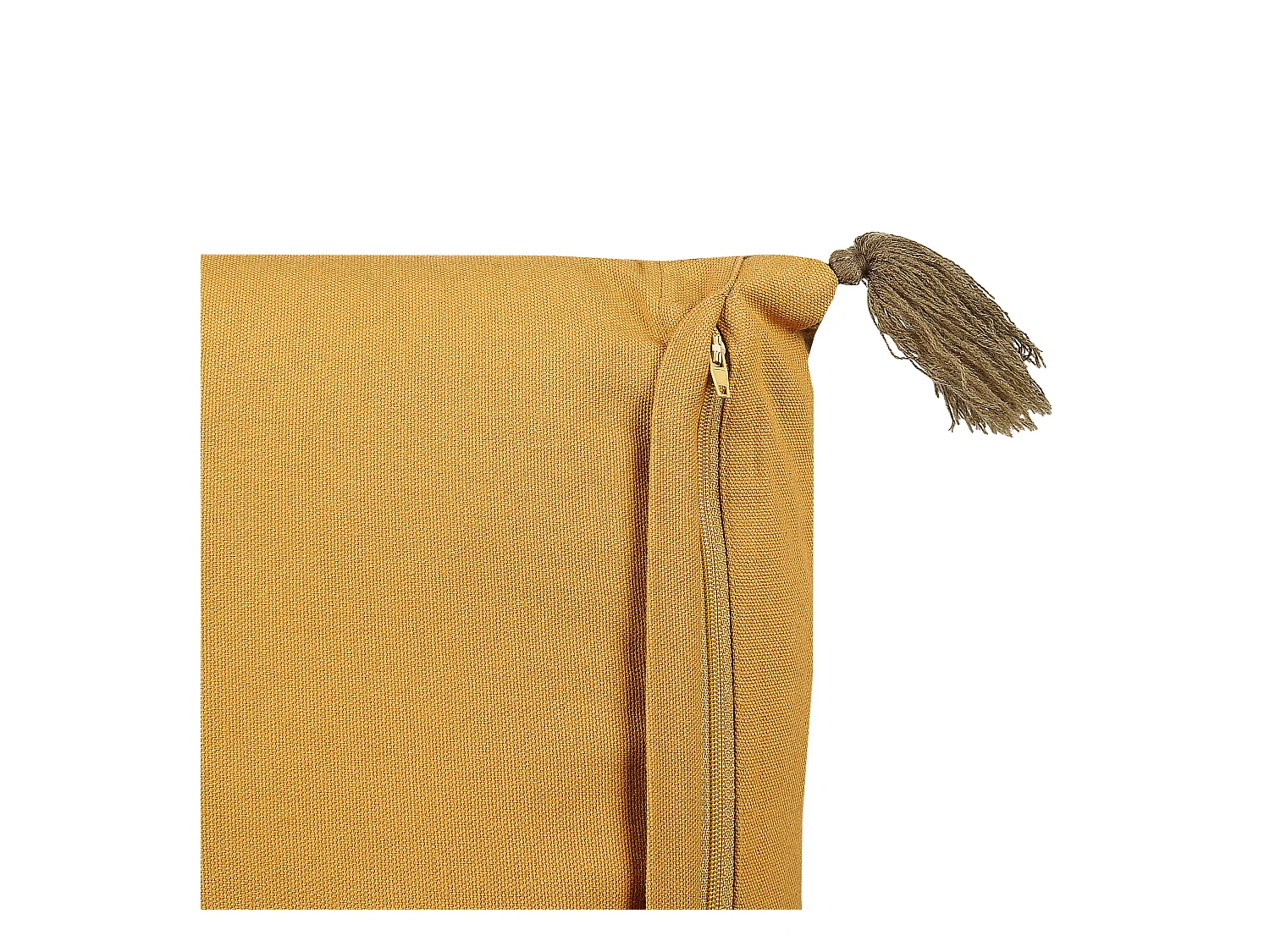 Lot de 2 coussins décoratifs RHEUM Velours 45 x 45 cm Jaune Motif floral