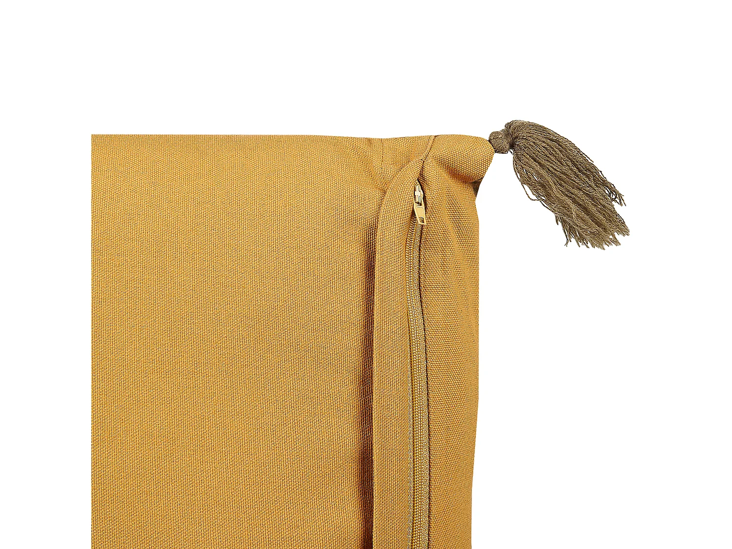 Lot de 2 coussins décoratifs RHEUM Velours 45 x 45 cm Jaune Motif floral