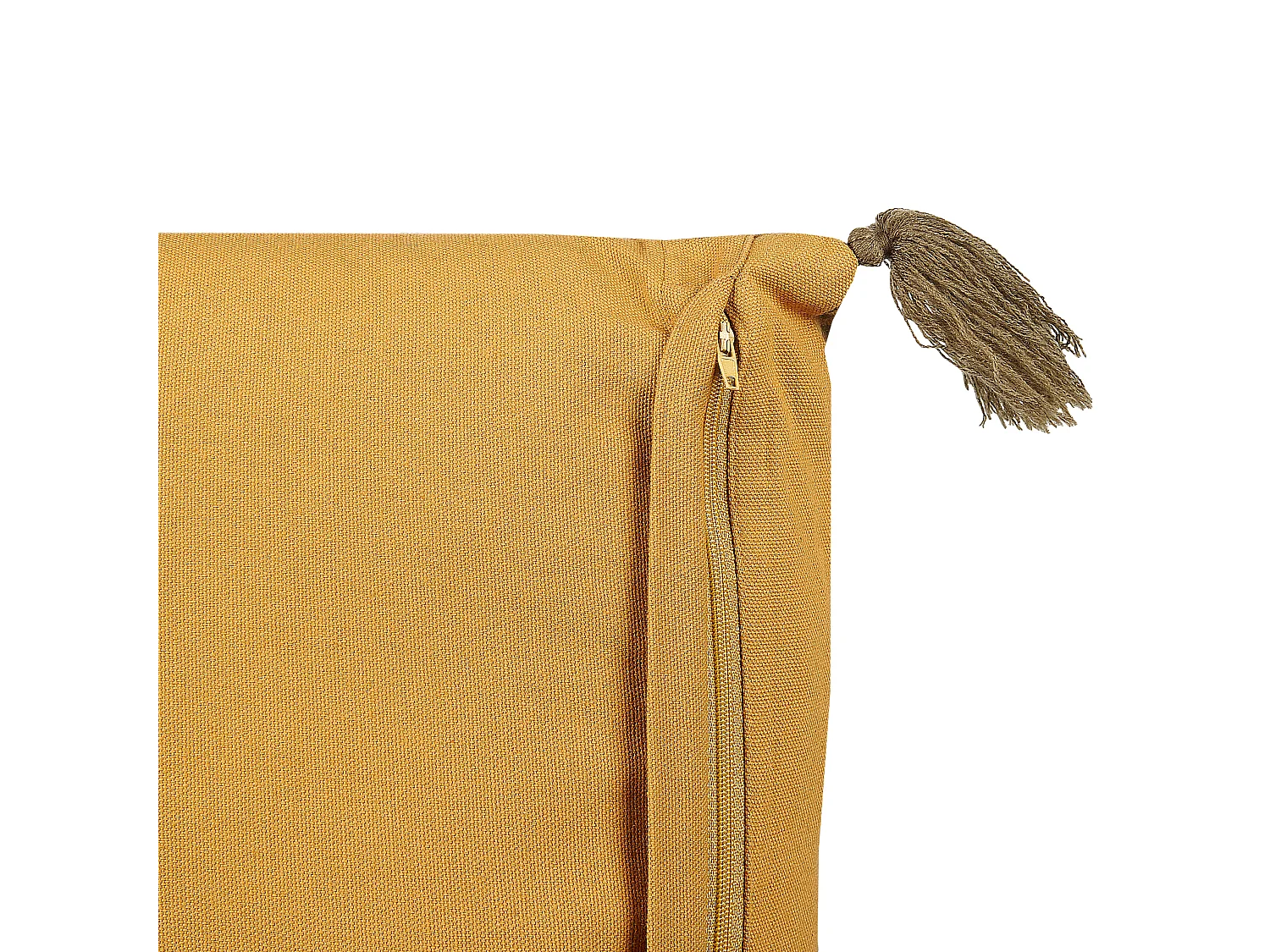 Lot de 2 coussins décoratifs RHEUM Velours 45 x 45 cm Jaune Motif floral