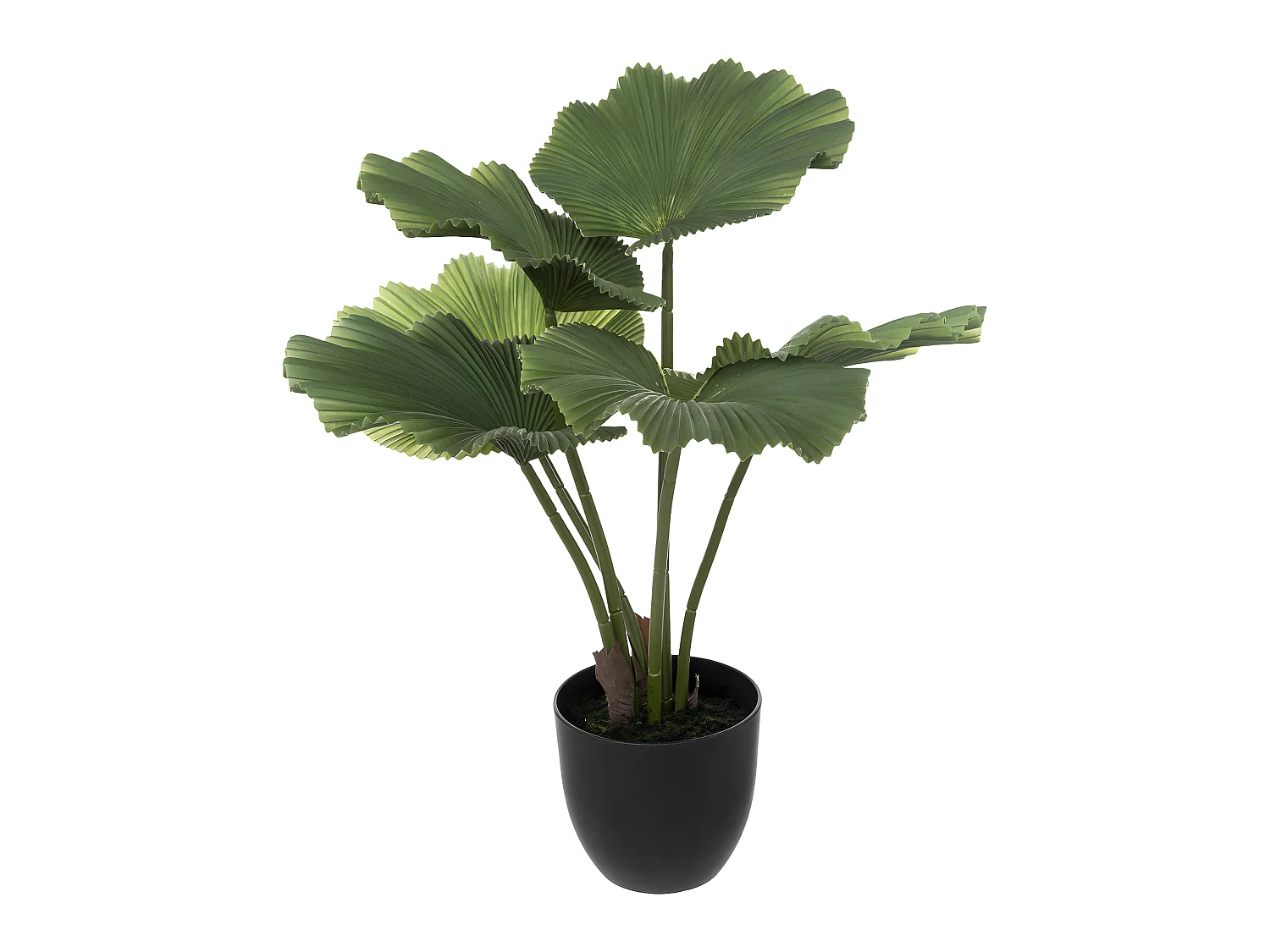 Plante artificielle Palmier en pot  H 65 cm
