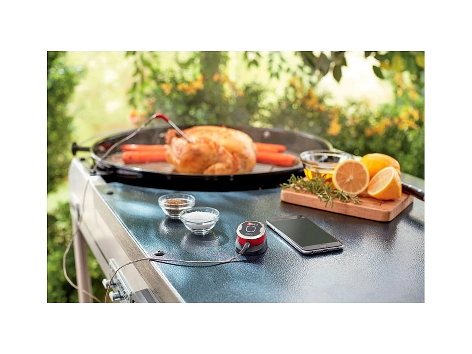 Termometro collegato iGrillMini - Weber