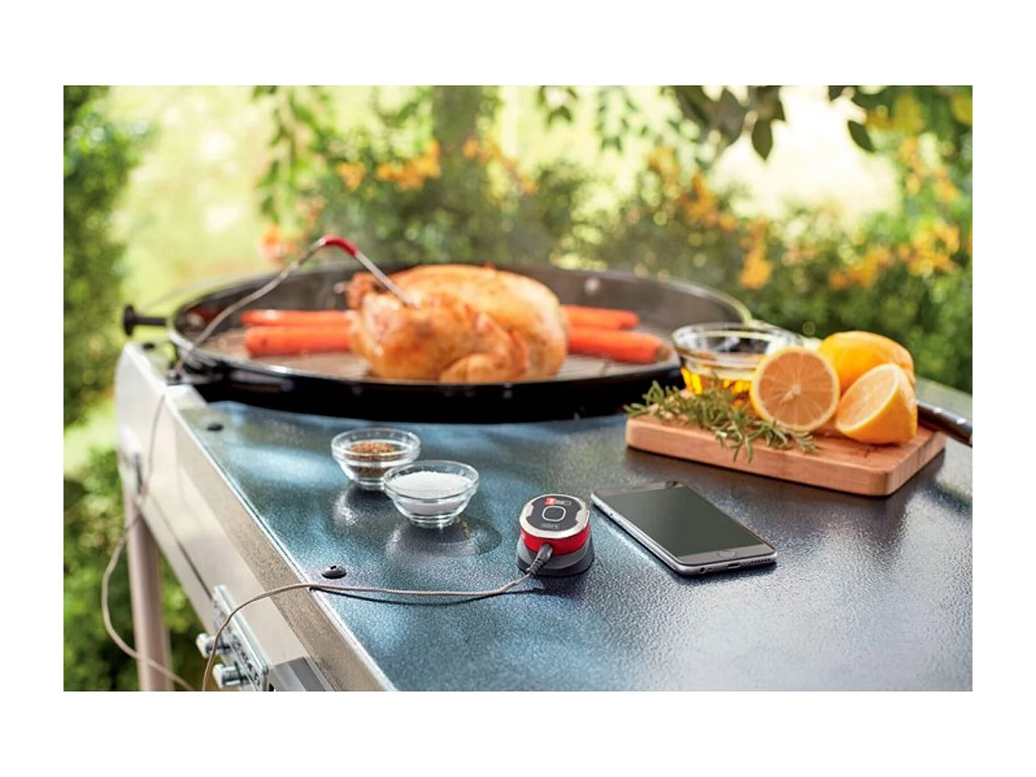 Termómetro conectado iGrillMini - Weber