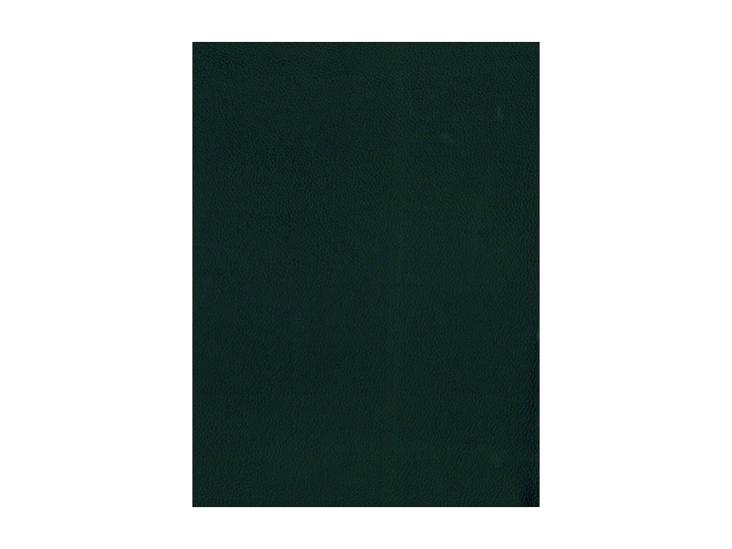 Driezits elektrische relaxbank Selesta van leer - zwart