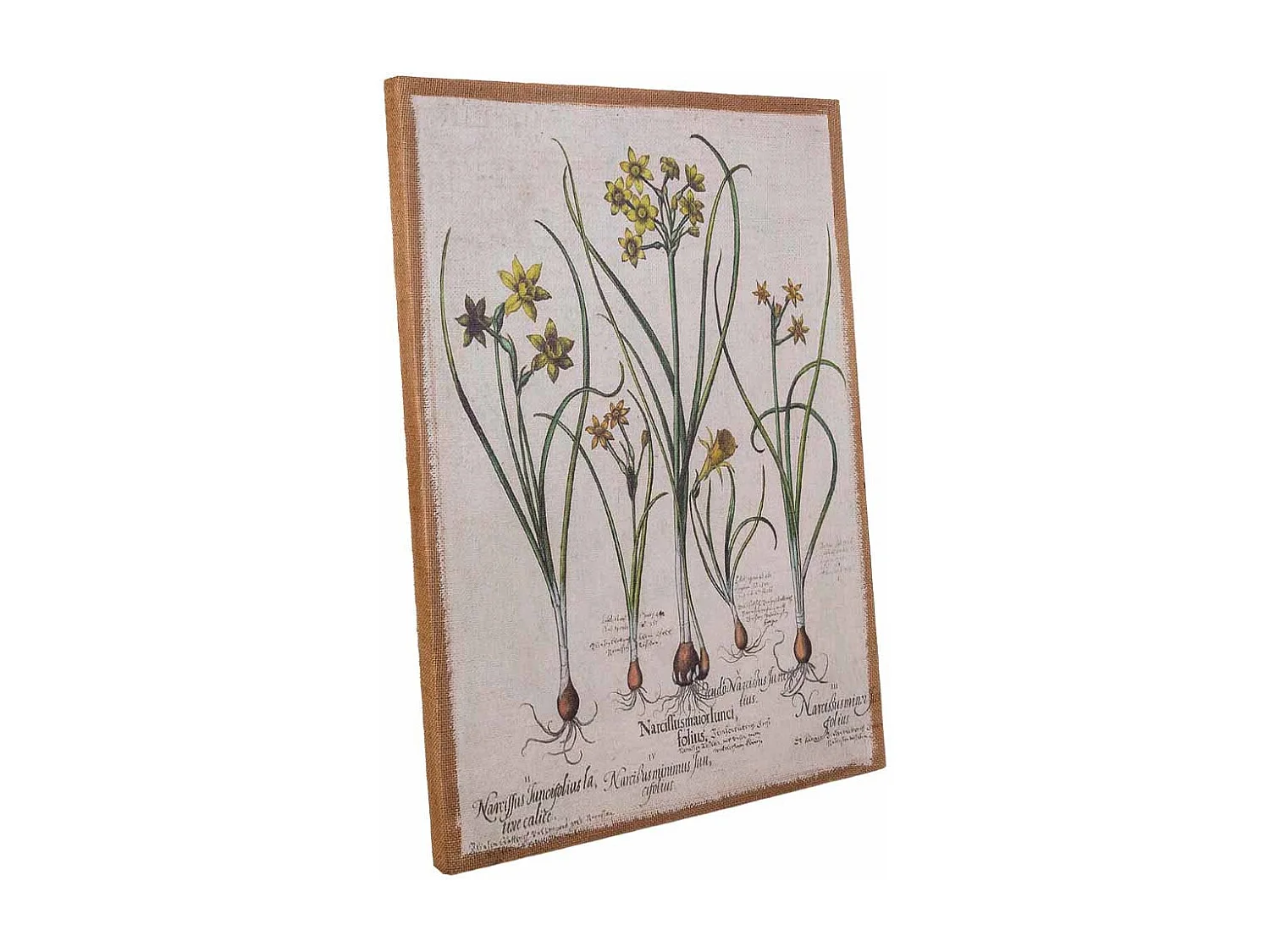 Quadro de madeira e tecido impresso