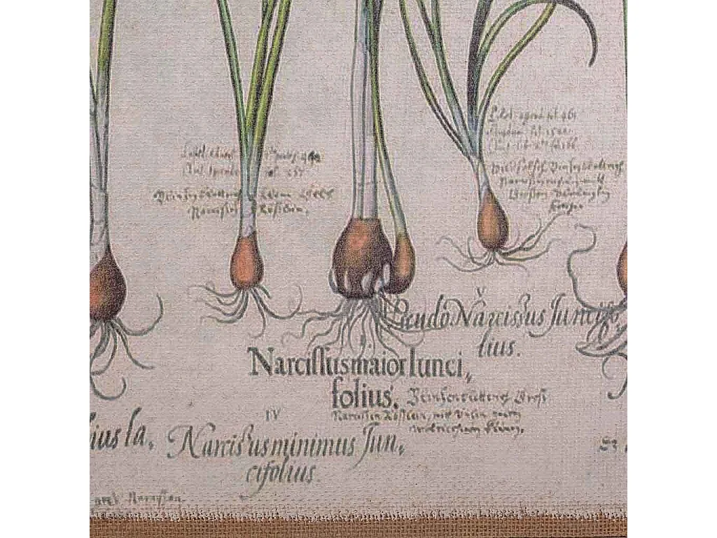 Quadro de madeira e tecido impresso