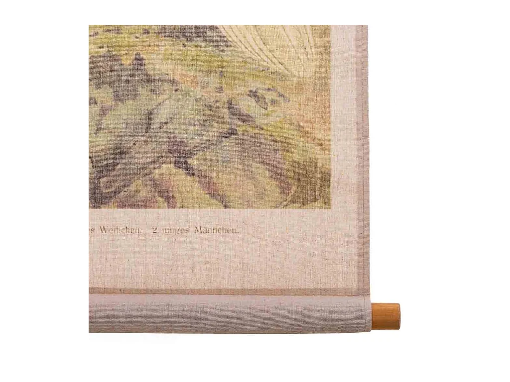 Bedruckte Pergamentleinwand aus Stoff, 65 x 95 x 2,5 cm