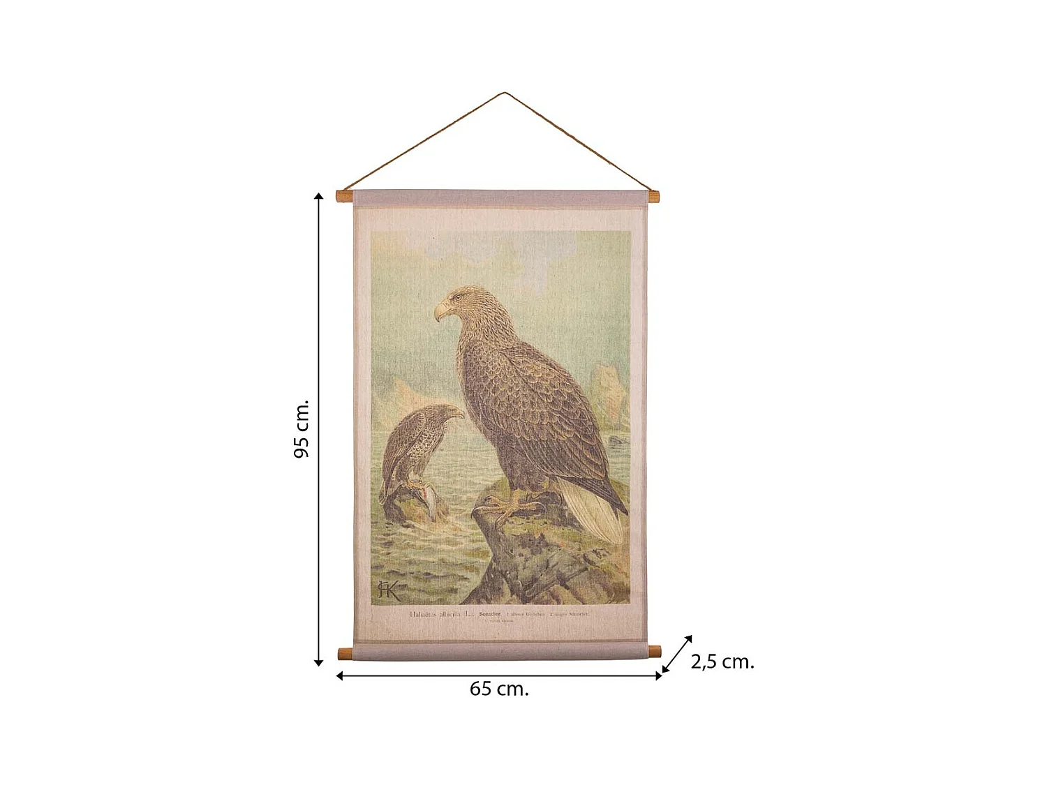 Bedruckte Pergamentleinwand aus Stoff, 65 x 95 x 2,5 cm