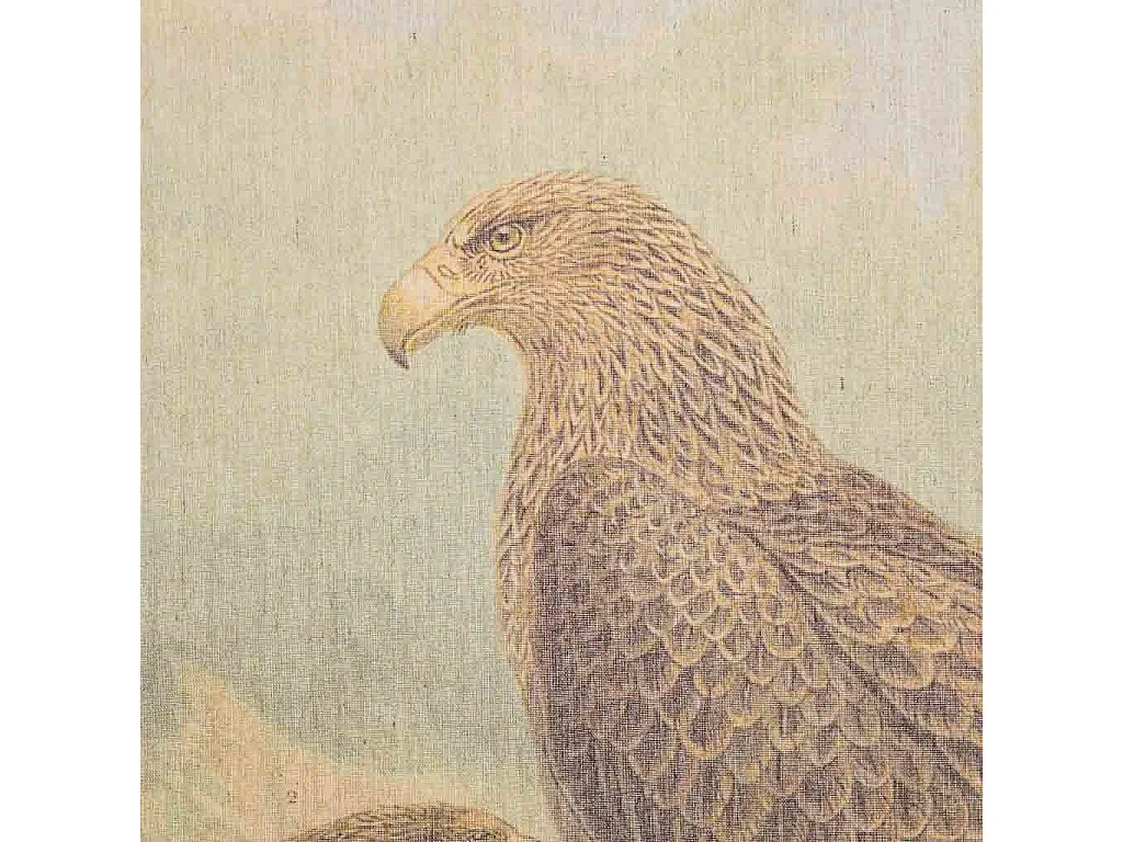 Bedruckte Pergamentleinwand aus Stoff, 65 x 95 x 2,5 cm