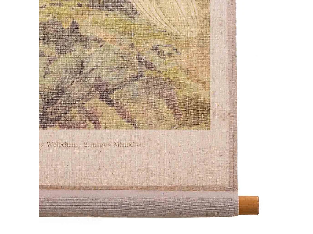 Bedruckte Pergamentleinwand aus Stoff, 65 x 95 x 2,5 cm