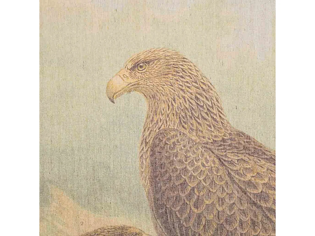 Tela pergaminho em tecido estampado 65x95x2,5