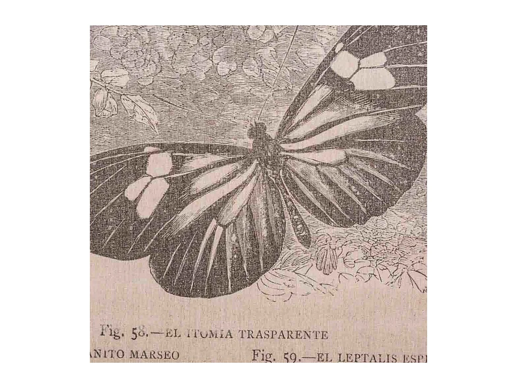 Bedruckte Stoff-Pergamentleinwand