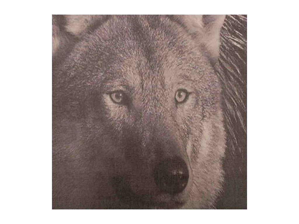 Tela pergamena di lino stampata 80x100x2,5h