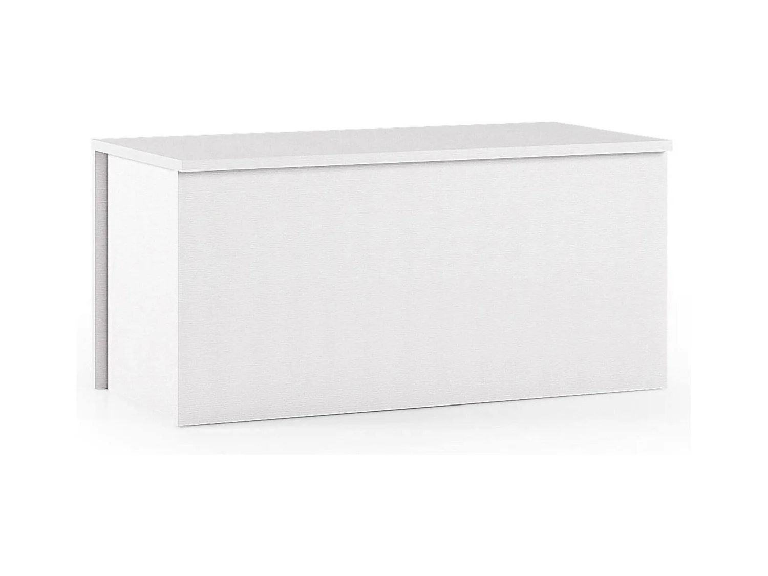 Malle Ditalen, Grande boîte de rangement polyvalente, Coffre moderne, 100% Made in Italy, 90x45h45 cm, Blanc