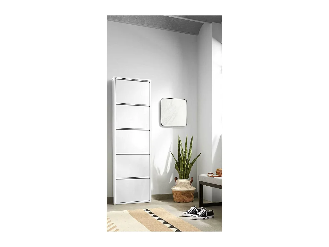 Meuble à chaussures Dpapi, Étagère à chaussures peu encombrante, Étagère à chaussures d'entrée, Étagère à chaussures en métal 5 portes, 50x15h169 cm, Blanc