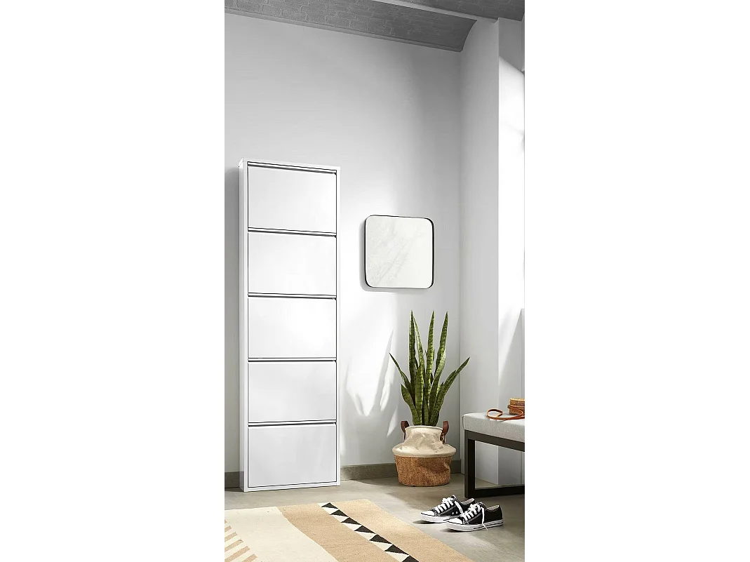 Meuble à chaussures Dpapi, Étagère à chaussures peu encombrante, Étagère à chaussures d'entrée, Étagère à chaussures en métal 5 portes, 50x15h169 cm, Blanc