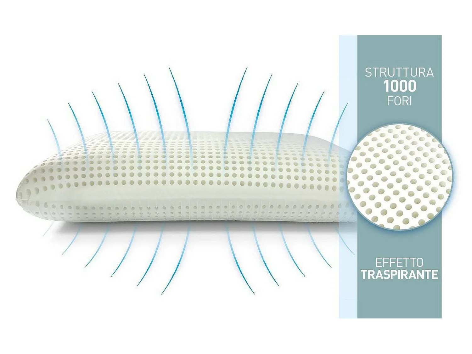 Guanciale Basilico, Sfoderabile Made in Italy, 16h cm Bianco