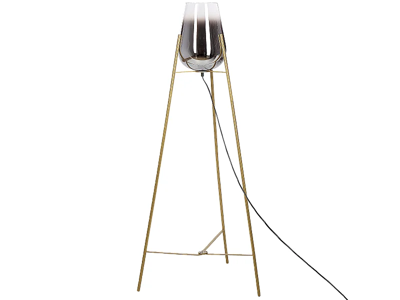 Moderne Stehleuchte aus Metall mit ovalem Glasschirm Licht Gold Mena