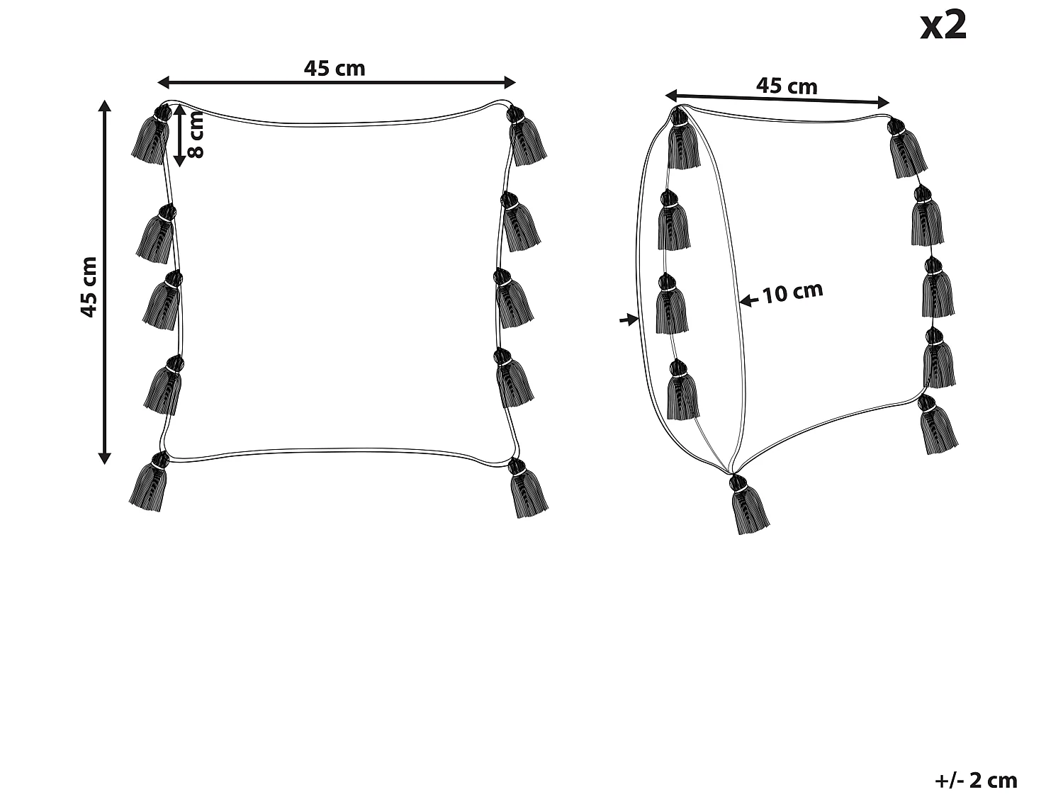 Lot de 2 coussins décoratifs BOUVARDIA Coton 45 x 45 cm Gris Motif à chevrons