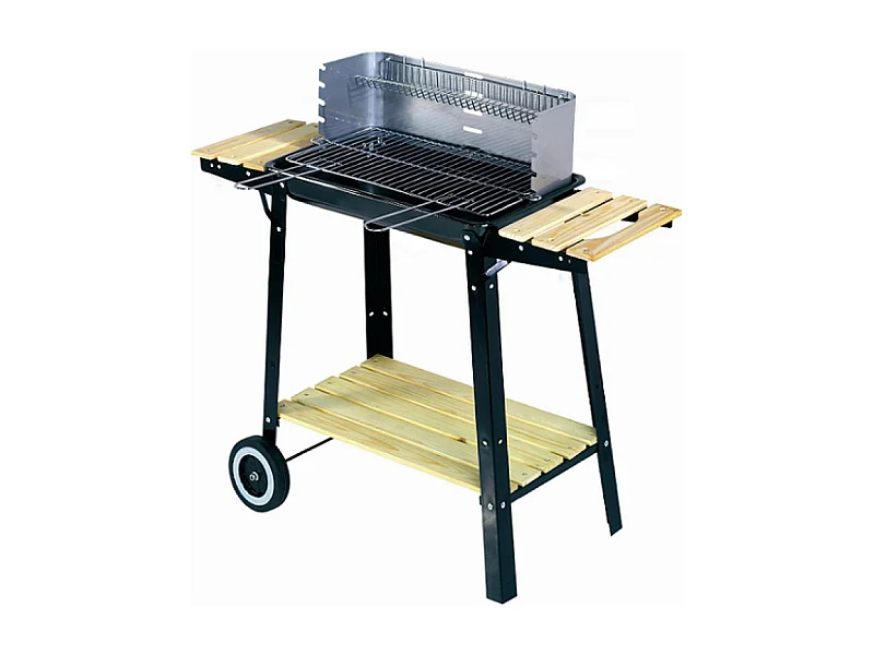 Mobiler Holzkohlegrill 48 x 28 cm BUFFALO
