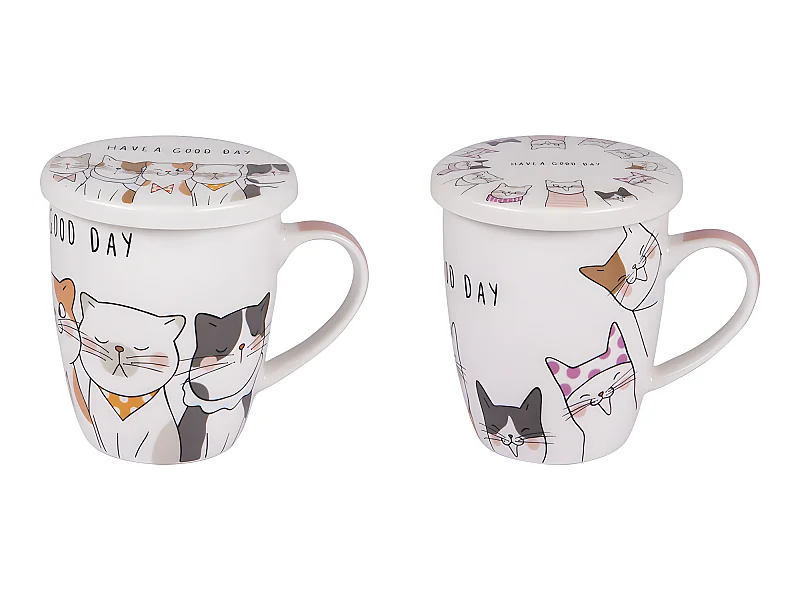 Coffret tisanière et filtre à thé 35 cl