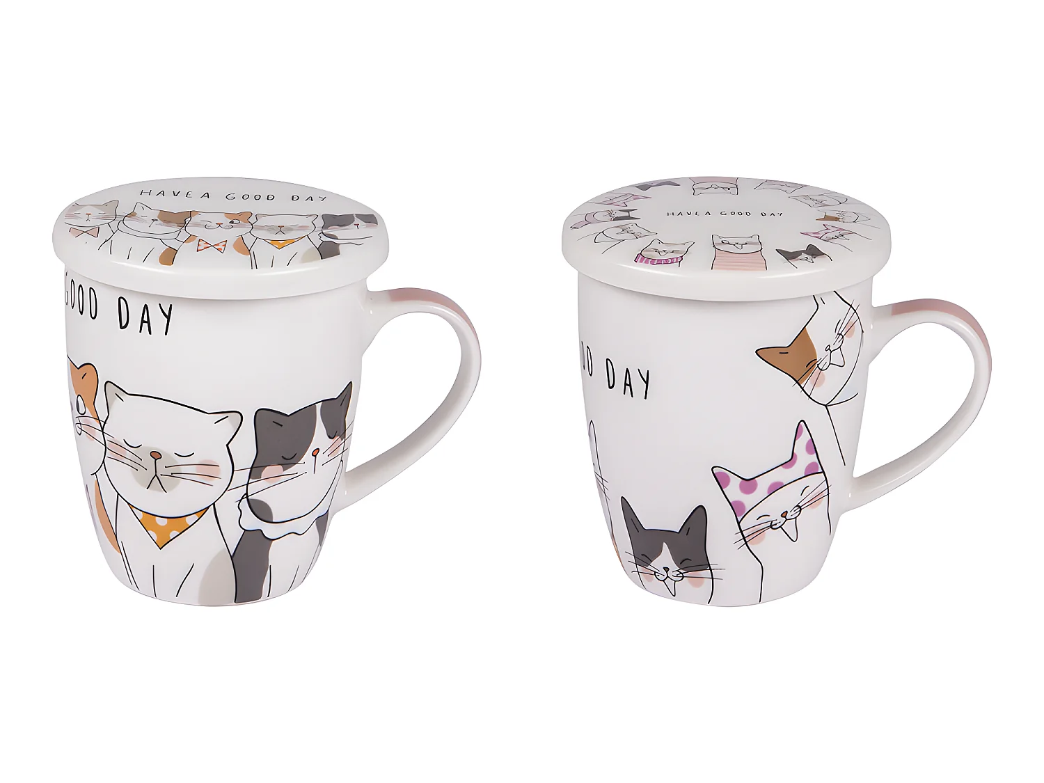 Coffret tisanière et filtre à thé 35 cl