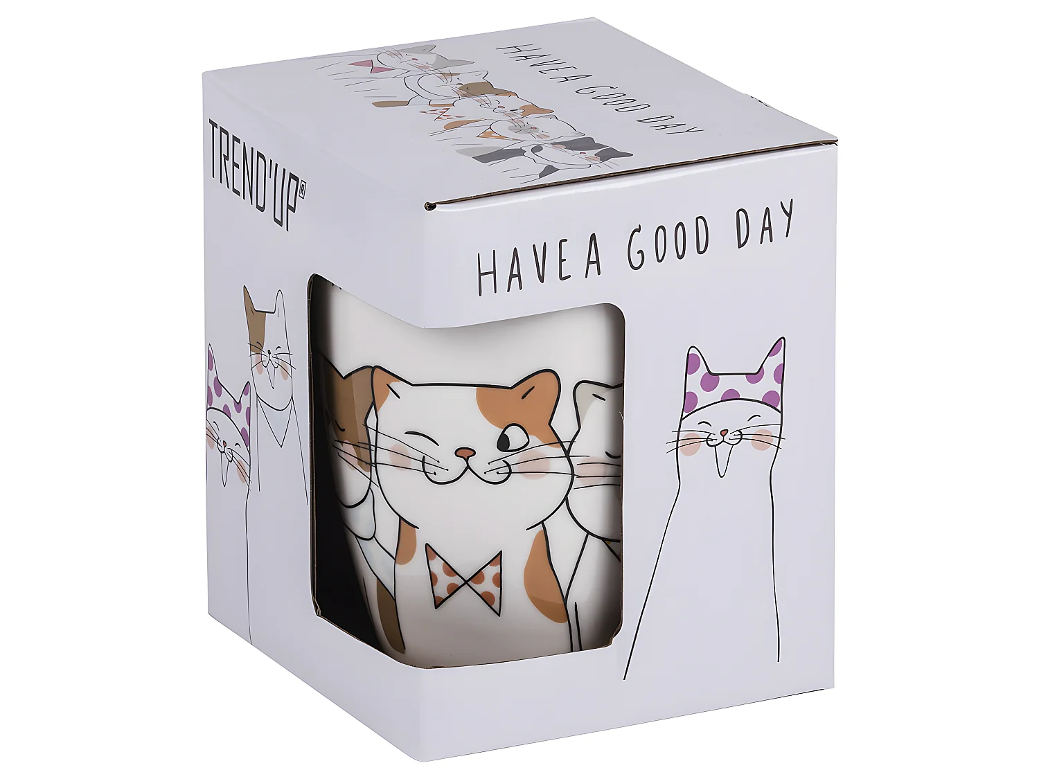 Coffret tisanière et filtre à thé 35 cl